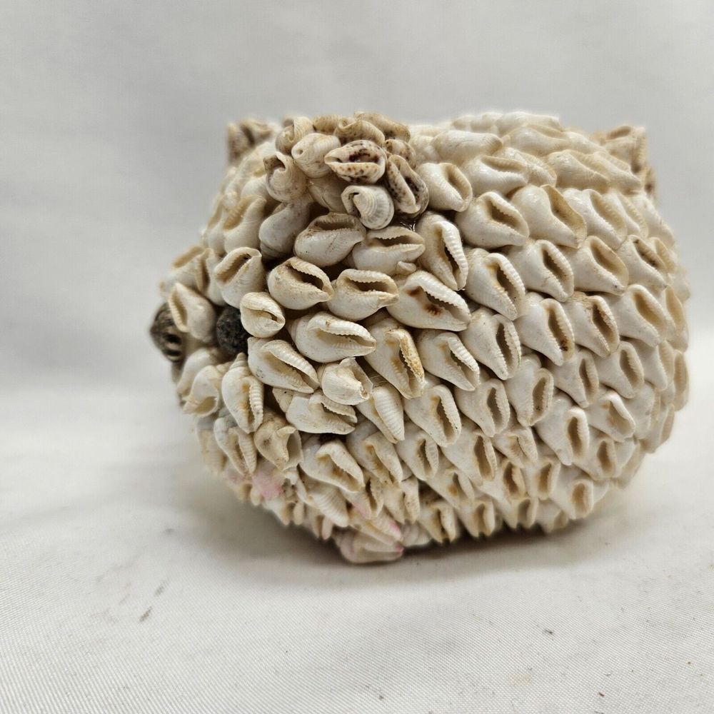 Vintage Sea Shell Pig Piggy Bank Coin‎ Bank